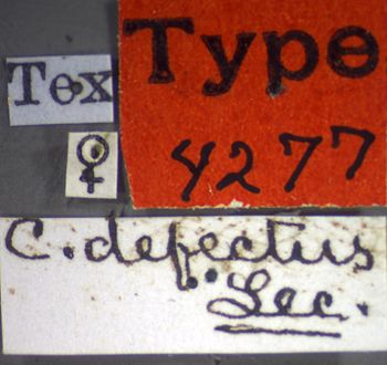 Media type: image;   Entomology 4277 Aspect: labels